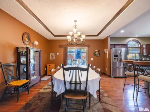 509 E 2nd St, Delavan, IL 61734 photo 30