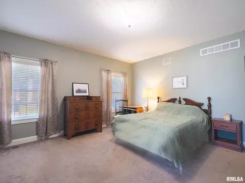 509 E 2nd St, Delavan, IL 61734 photo 38