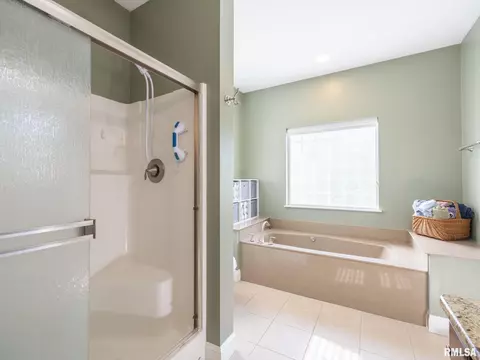 509 E 2nd St, Delavan, IL 61734 photo 40