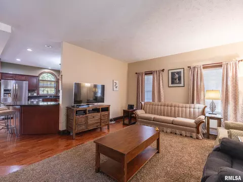 509 E 2nd St, Delavan, IL 61734 photo 20