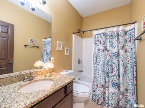509 E 2nd St, Delavan, IL 61734 photo 36