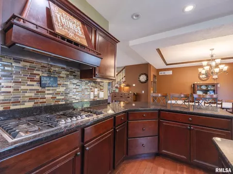 509 E 2nd St, Delavan, IL 61734 photo 28