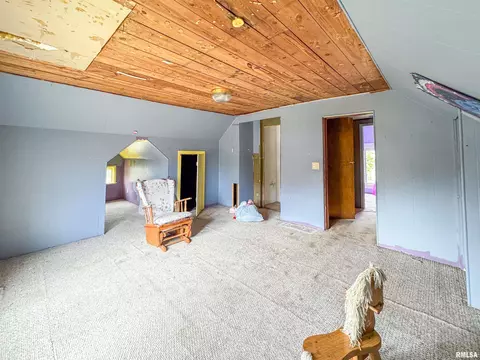 111 S Madison St, Lowpoint, IL 61545 photo 19