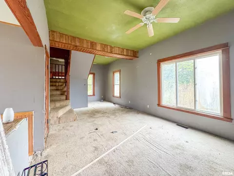 111 S Madison St, Lowpoint, IL 61545 photo 4