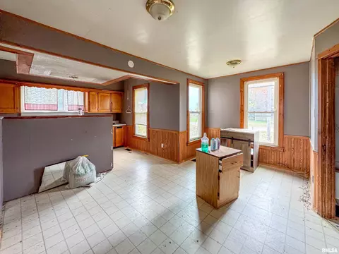 111 S Madison St, Lowpoint, IL 61545 photo 9