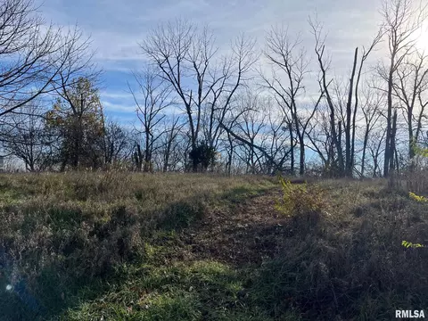 lot20 N Deer Bluffs Dr, Chillicothe, IL 61523