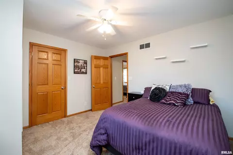 3722 S Wheatfield Way, Mapleton, IL 61547 photo 42
