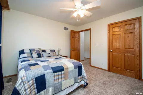3722 S Wheatfield Way, Mapleton, IL 61547 photo 49
