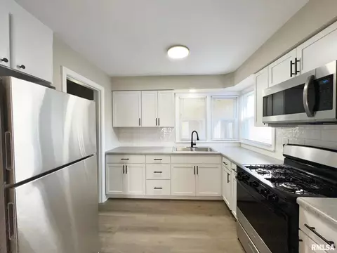 813 E Willcox Ave, Peoria, IL 61603 photo 14
