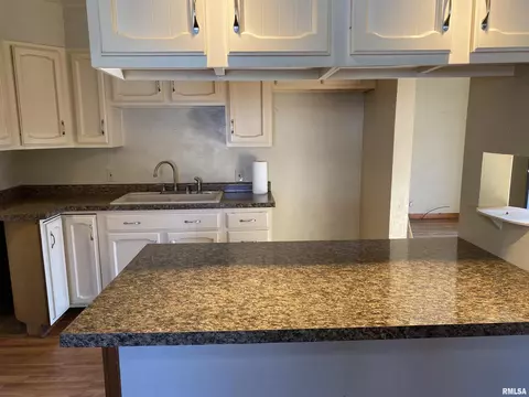 1245 Sunview Dr, Canton, IL 61520 photo 10