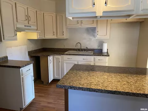 1245 Sunview Dr, Canton, IL 61520 photo 11