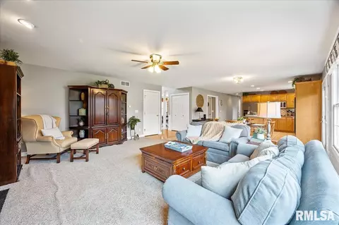 5922 W Deer Trace Ct, Dunlap, IL 61525 photo 12