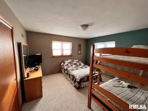 15310 Kenabeck Trl, Cuba, IL 61427 photo 32