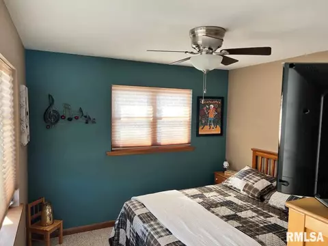 15310 Kenabeck Trl, Cuba, IL 61427 photo 33