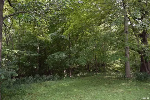 lot11 Fawn Ridge Ln, Mapleton, IL 61547 photo 4