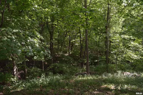 lot11 Fawn Ridge Ln, Mapleton, IL 61547 photo 5