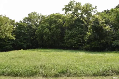 lot11 Fawn Ridge Ln, Mapleton, IL 61547 photo 3