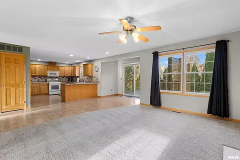 6003 W Brookmere St, Edwards, IL 61528 photo 11