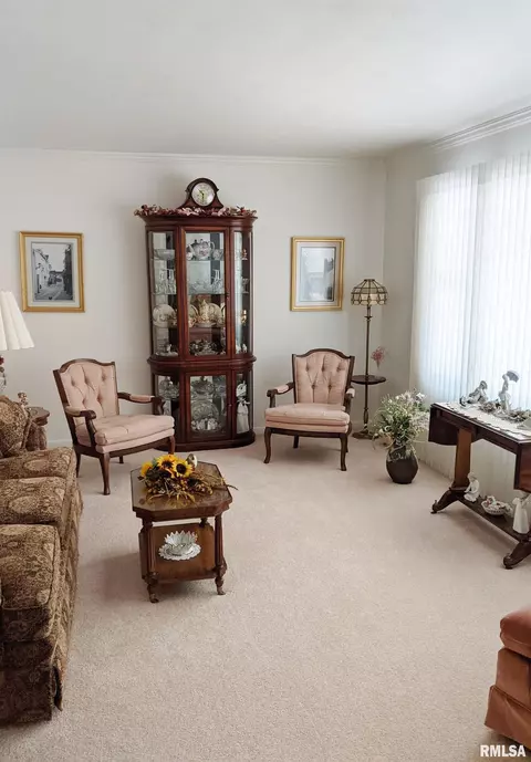 836 E Dunne St, Morton, IL 61550 photo 5