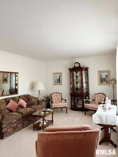 836 E Dunne St, Morton, IL 61550 photo 4