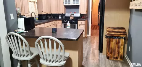 1006 S 7th Ave, Canton, IL 61520 photo 4