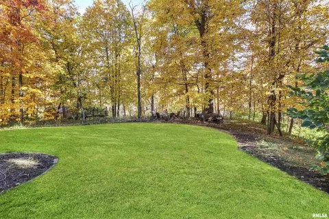 812 W Bennett Ct, Dunlap, IL 61525 photo 47