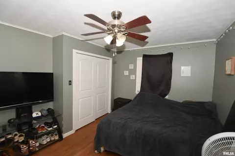 885 State Route 121, Mount Pulaski, IL 62548 photo 8