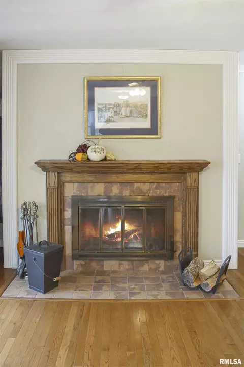 216 E Swords Dr, Edelstein, IL 61526 photo 9
