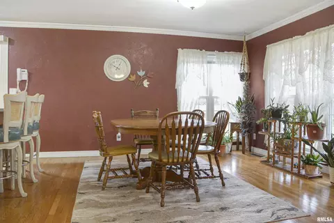 216 E Swords Dr, Edelstein, IL 61526 photo 24