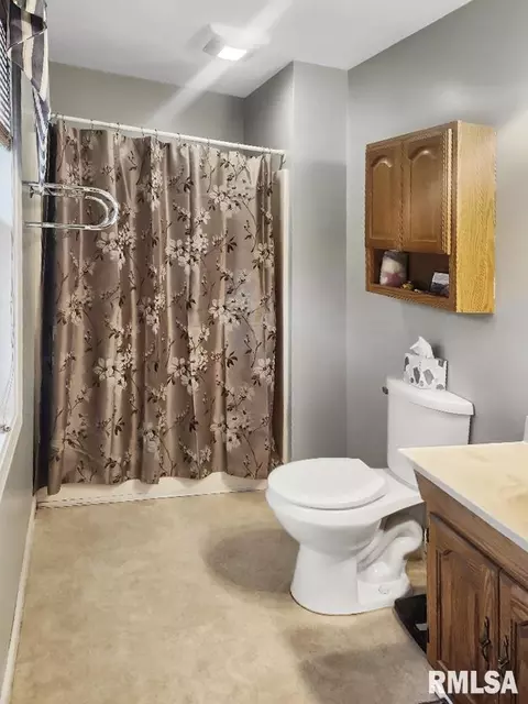 216 E Swords Dr, Edelstein, IL 61526 photo 28