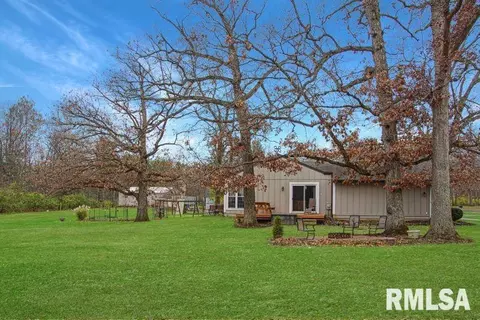 216 E Swords Dr, Edelstein, IL 61526 photo 45