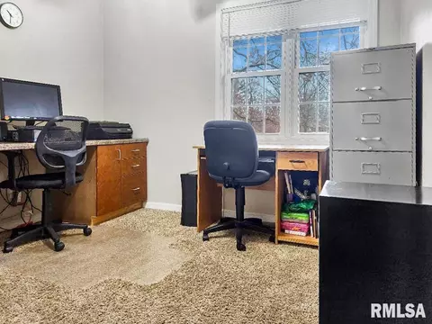 216 E Swords Dr, Edelstein, IL 61526 photo 32