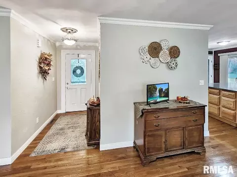 216 E Swords Dr, Edelstein, IL 61526 photo 3