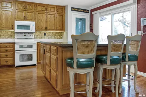 216 E Swords Dr, Edelstein, IL 61526 photo 18