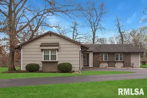 216 E Swords Dr, Edelstein, IL 61526 photo 43