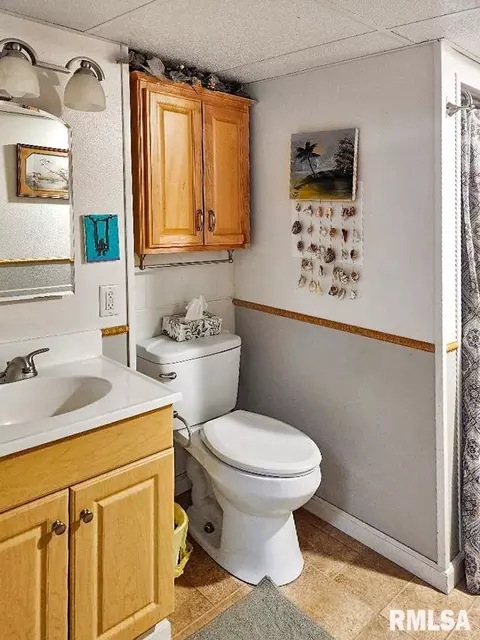 216 E Swords Dr, Edelstein, IL 61526 photo 41