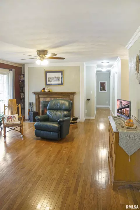 216 E Swords Dr, Edelstein, IL 61526 photo 10