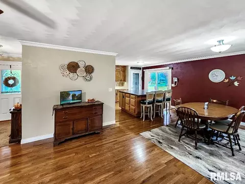 216 E Swords Dr, Edelstein, IL 61526 photo 12