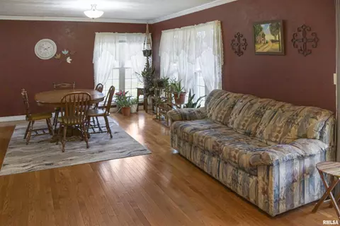216 E Swords Dr, Edelstein, IL 61526 photo 6