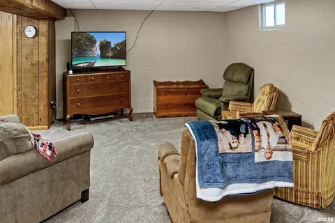 216 E Swords Dr, Edelstein, IL 61526 photo 35