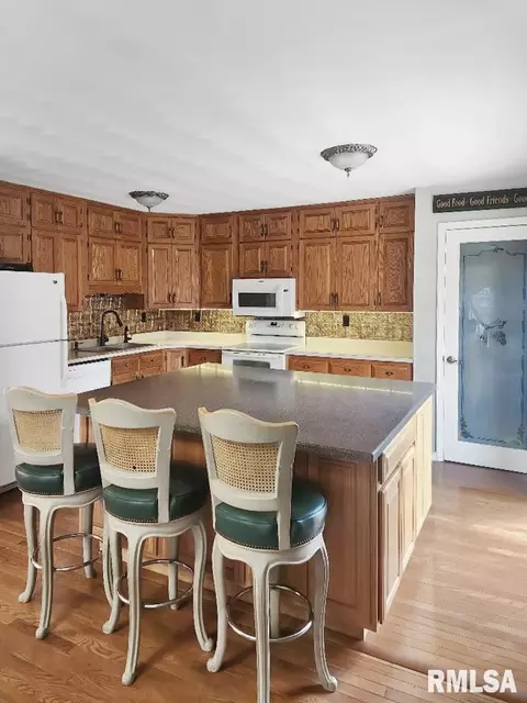 216 E Swords Dr, Edelstein, IL 61526 photo 22