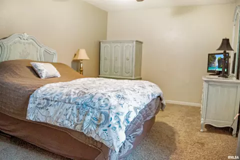 216 E Swords Dr, Edelstein, IL 61526 photo 27