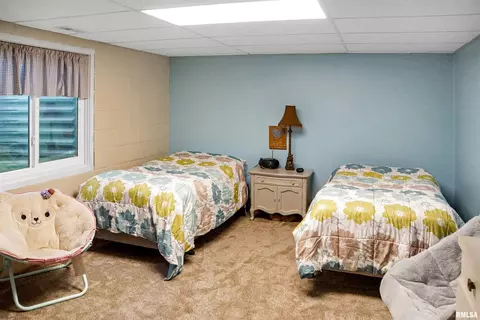 216 E Swords Dr, Edelstein, IL 61526 photo 33