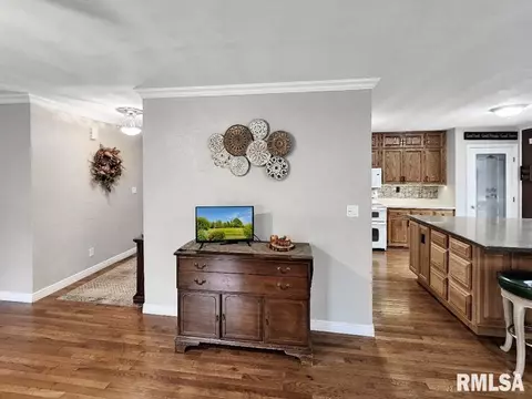 216 E Swords Dr, Edelstein, IL 61526 photo 11