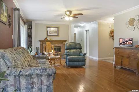 216 E Swords Dr, Edelstein, IL 61526 photo 8
