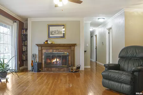 216 E Swords Dr, Edelstein, IL 61526 photo 7