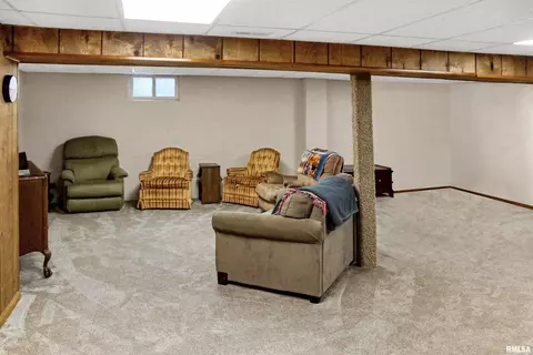 216 E Swords Dr, Edelstein, IL 61526 photo 36