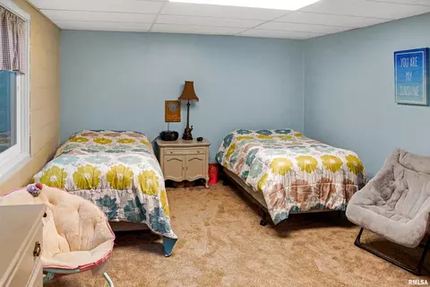 216 E Swords Dr, Edelstein, IL 61526 photo 34