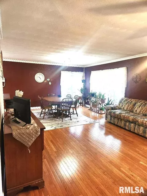 216 E Swords Dr, Edelstein, IL 61526 photo 26