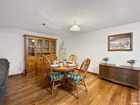 112 E Pine St, Metamora, IL 61548 photo 16
